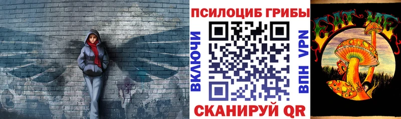 Купить закладки Грайворон Псилоцибиновые грибы Psilocybe