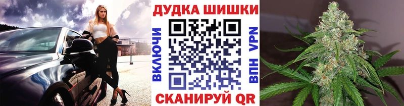 Купить где  Грайворон  Бошки марихуана OG Kush 